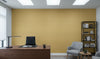 Kipa Tight Woven Grasscloth | Phillipe Romano - office room setting