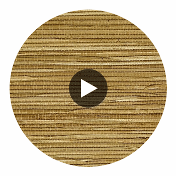 Kipulua Grasscloth | Phillipe Romano Circular Swatch | DW