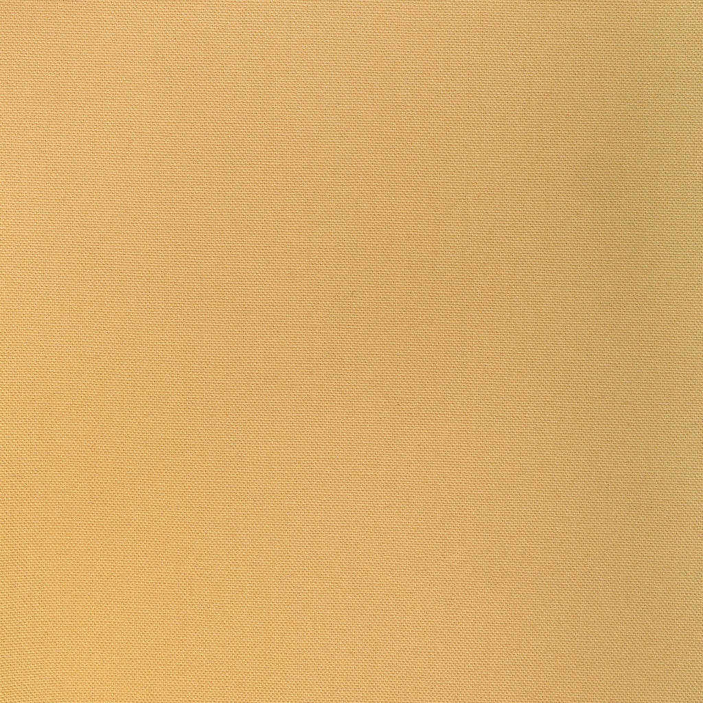 Kravet Basics, Gold