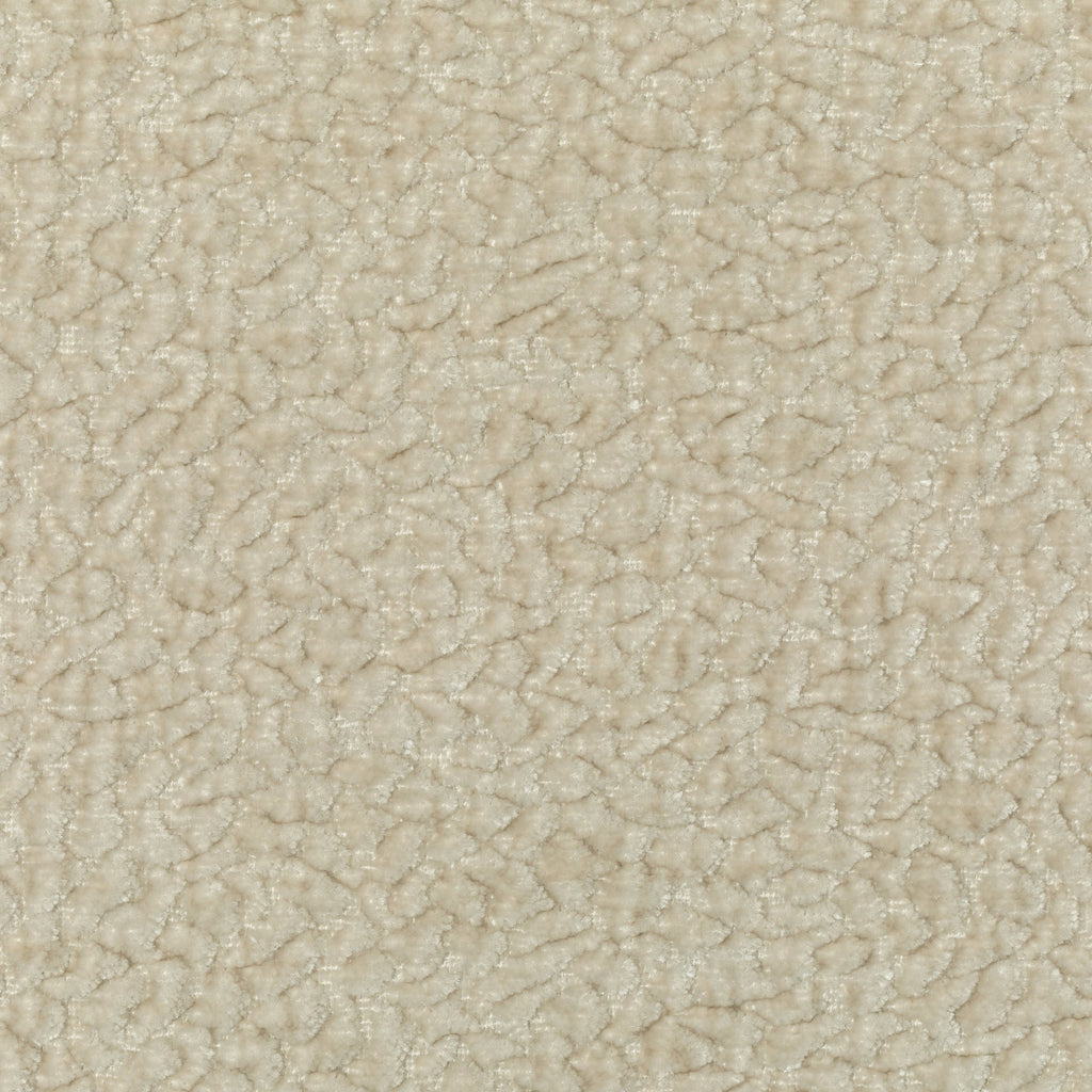 Kravet Couture, Beige