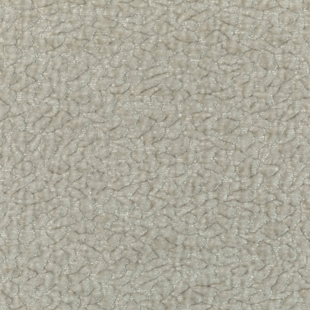 Kravet Couture, Beige
