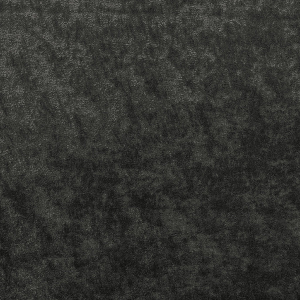Kravet Couture, Charcoal Gray
