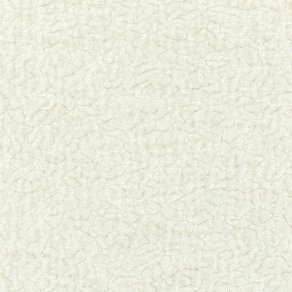 Kravet Couture, Off-White