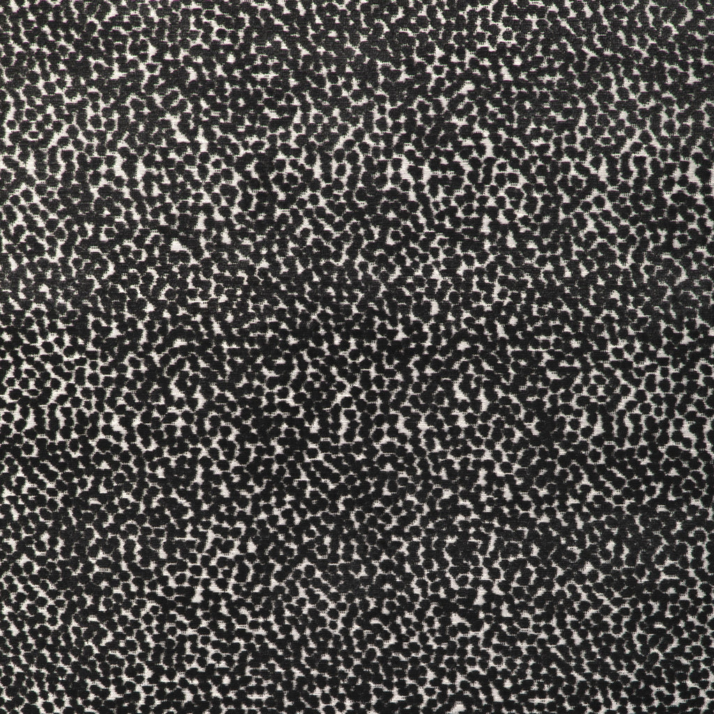 Kravet Design, White