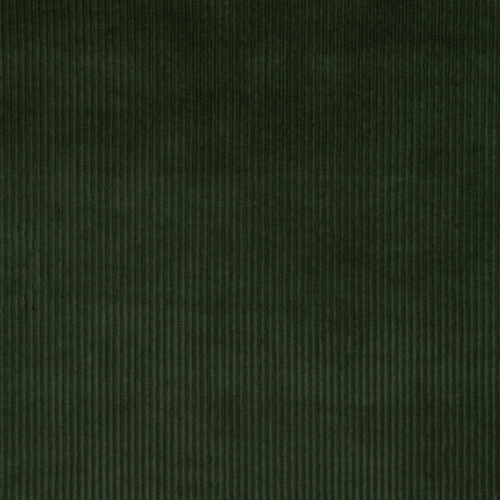 Kravet Smart, Dark Green