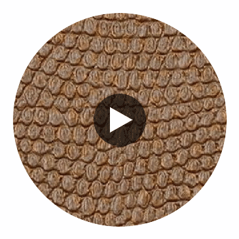 La Brescia Crocodile Vinyl | Phillipe Romano Circular Swatch | DW