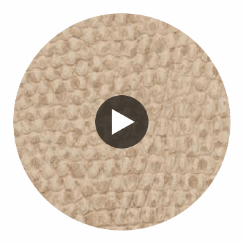 La Brescia Crocodile Vinyl | Phillipe Romano Circular Swatch | DW