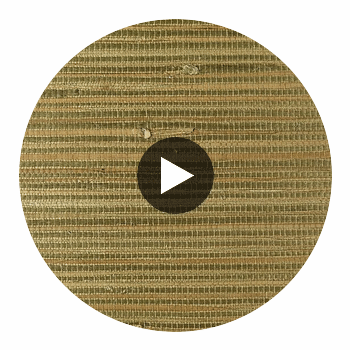 La Diabla Grasscloth | Phillipe Romano Circular Swatch | DW
