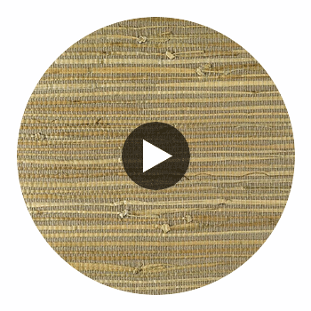 La Halelua Grasscloth | Phillipe Romano Circular Swatch | DW