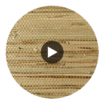 La Lito Grassloth | Phillipe Romano Circular Swatch | DW