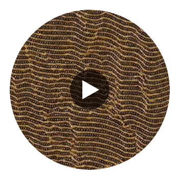 La Spezia Gauze Wallcovering Circular Swatch | DW