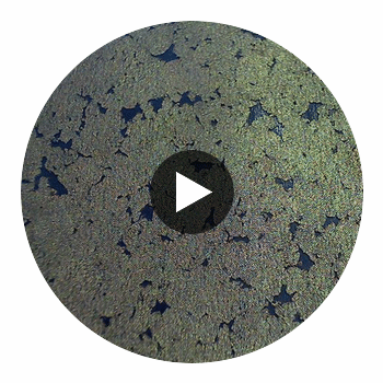 Lafayette Cork | Phillipe Romano Circular Swatch | DW