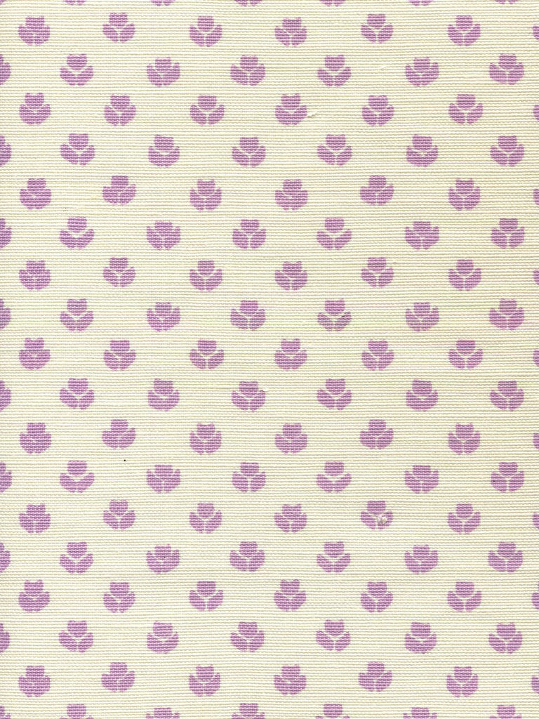 Lavender on Tint