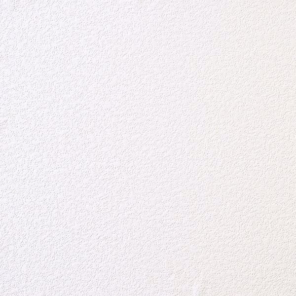 Lavicola Stucco Paintable Wallcovering | Jeffrey Stevens - Image 1
