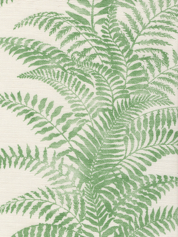 Fern Cliff, Leaf Green on Light Tint Wallcoverings | Quadrille