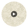 Leia Olive Lace Damask Wallcovering Circular Swatch | LA Walls