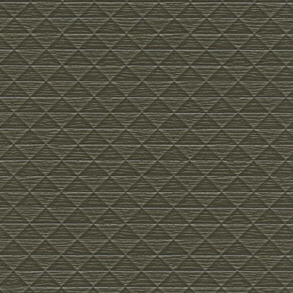 Le Muse the Inventor - Dark Gray Commercial Wallcovering | Koroseal