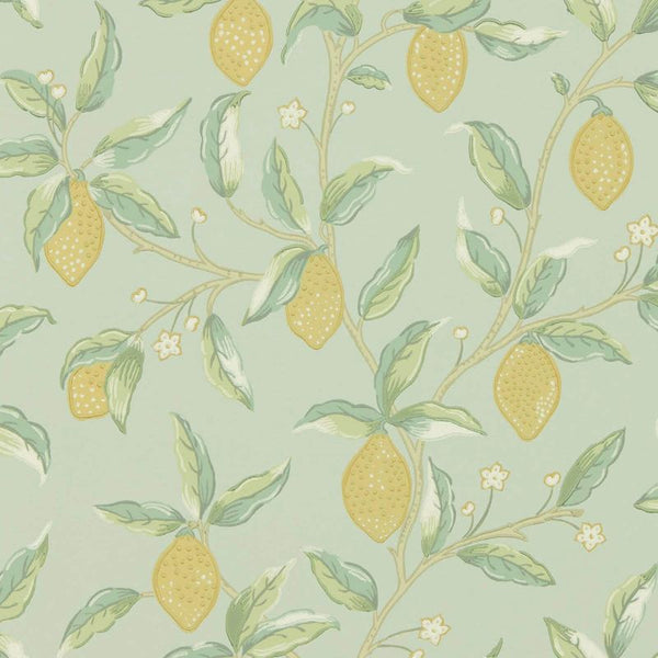 Lemon Tree Sage Wallcovering | William Morris