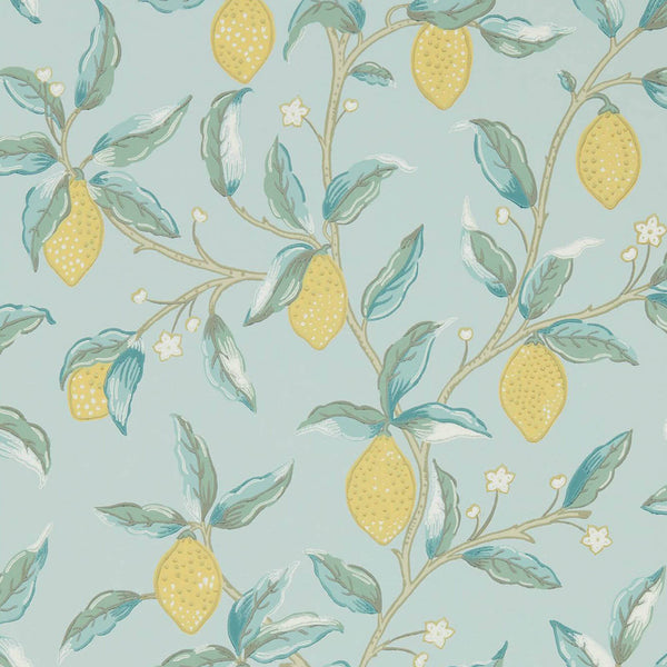 Lemon Tree Wedgewood | Morris & Co.