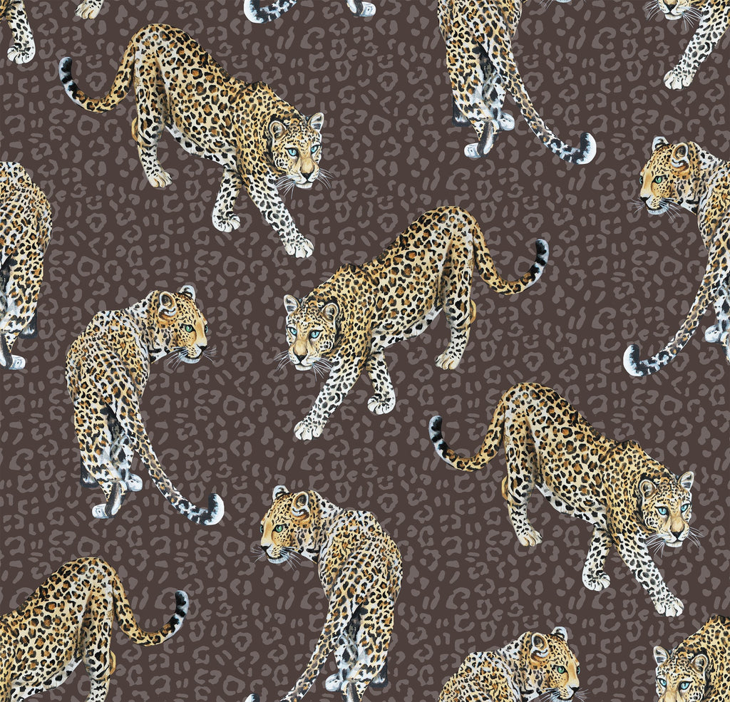 Leopard Brown | Graduate Collection