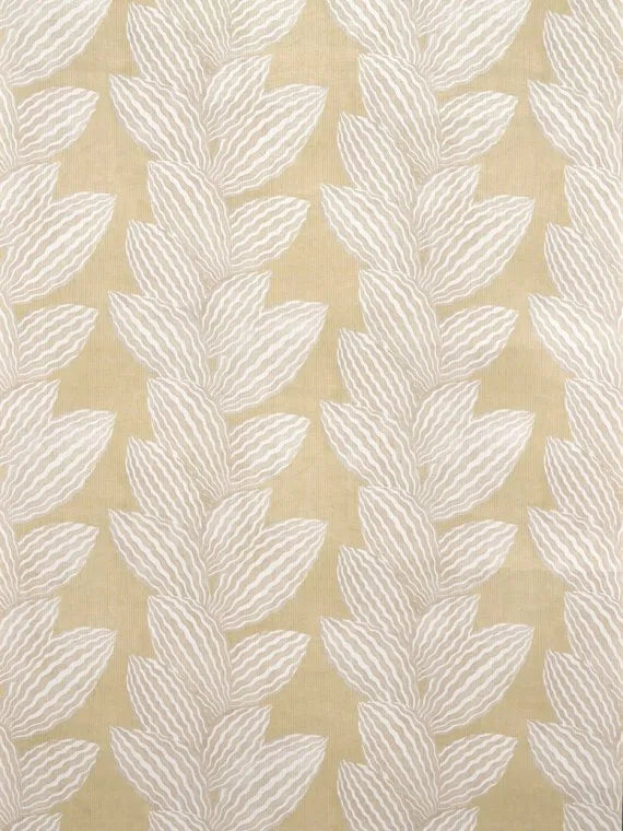 Les cabosses - Image 1