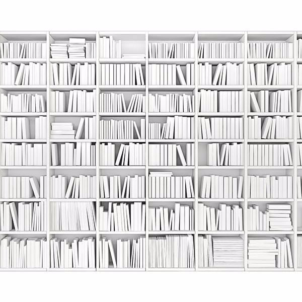 Library Wall Mural | Jeffrey Stevens Wallcovering