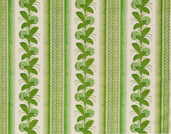 Climbing Hydrangea Fabric, Lime on Light Tint | Quadrille