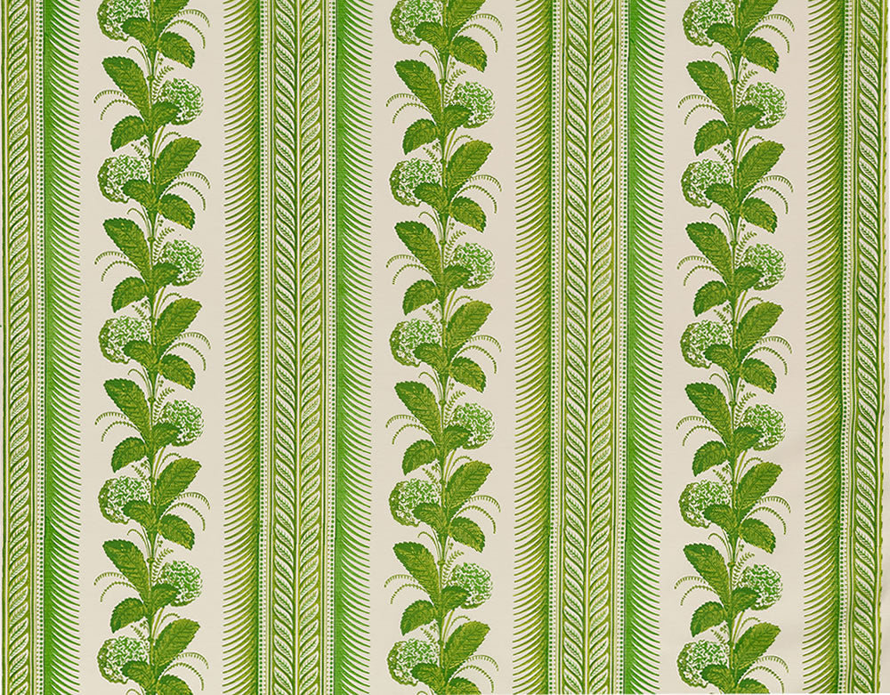 Climbing Hydrangea Fabric, Lime on Light Tint