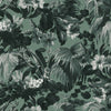 Limerence Fern, Sample
