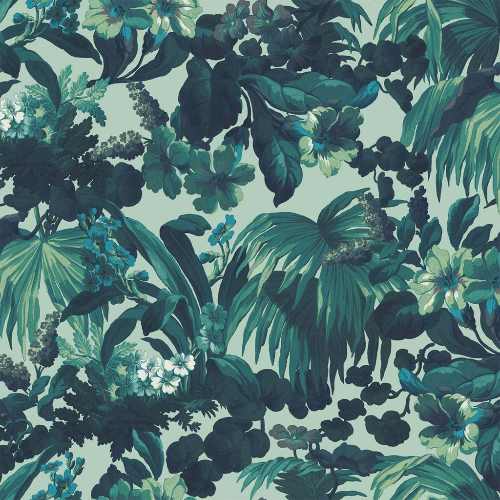 Limerence Galapagos, Sample