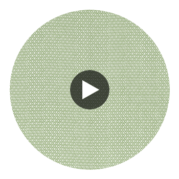 Lindsey Fabrics (af57814) – Green | Thibaut Circular Swatch | Thibaut