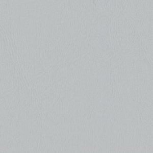 Big Stone Gap Lite Gray Fabric Swatch | Architectural Fabrics