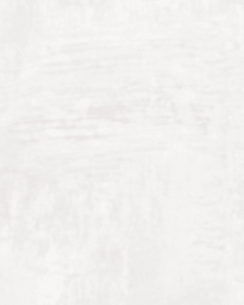London Tuscan Plaster Fossil Wallcovering | Phillipe Romano