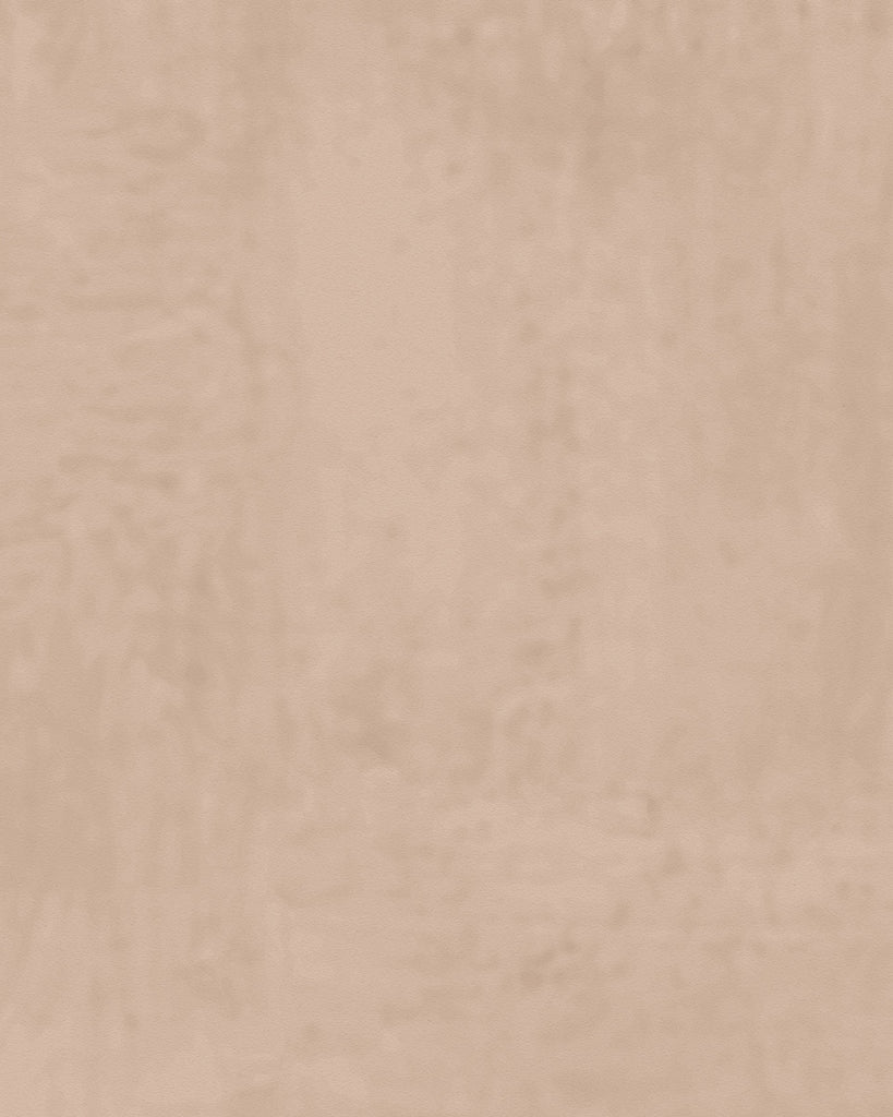 London Tuscan Plaster Rustic Clay Wallcovering | Phillipe Romano