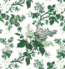 Louisa Floral, Multi with Dark Green