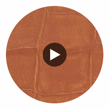 Lucy Large Crocodile Wallpaper | Hollywood Wallcoverings Circular Swatch | Hollywood Wallcoverings