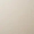 Lumen Champagne | Wolf Gordon Wallcoverings