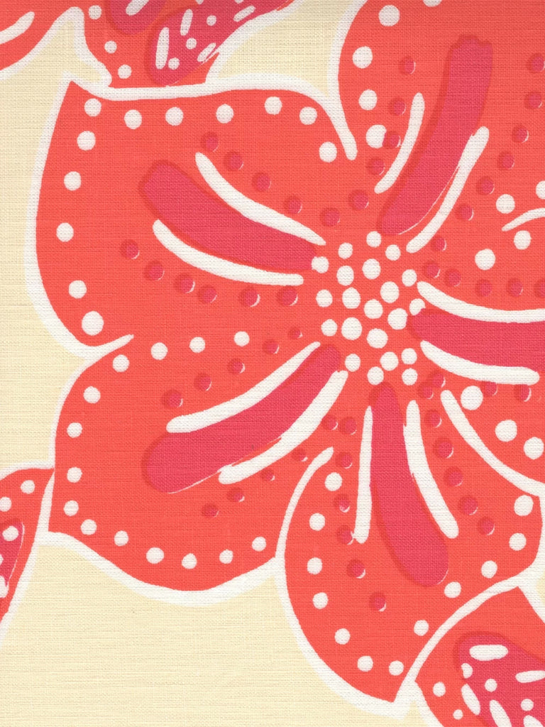 Magenta Orange on Cream