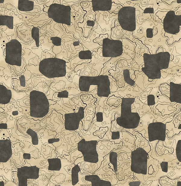 Map Xylography Grey Wallcovering | Tres Tintas
