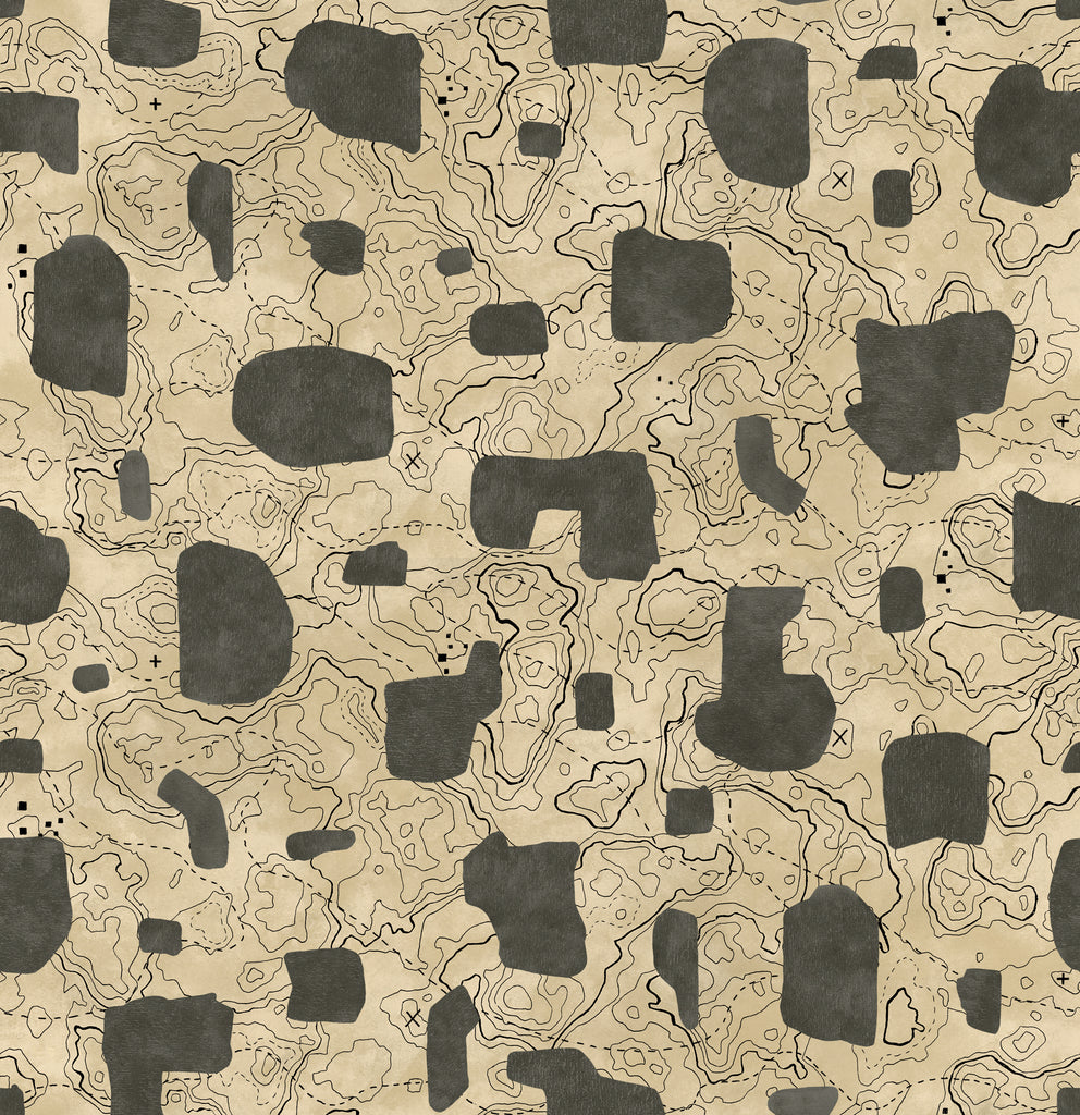 Map Xylography Grey