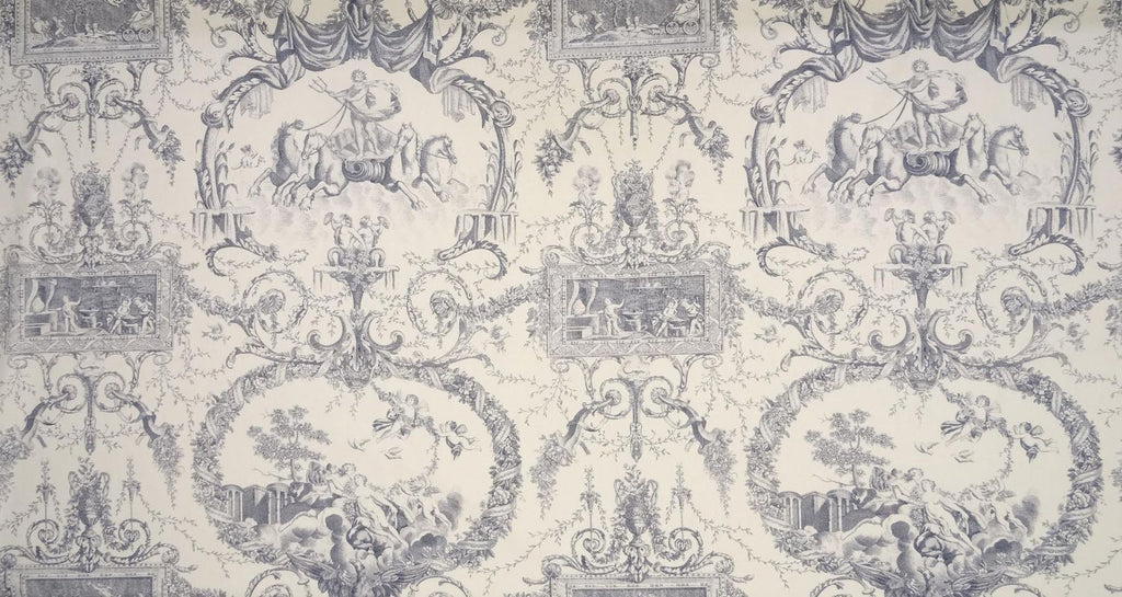 Neptune Toile, Marine