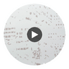 Maryport Type II Vinyl | Hollywood Wallcoverings Circular Swatch | Hollywood Wallcoverings