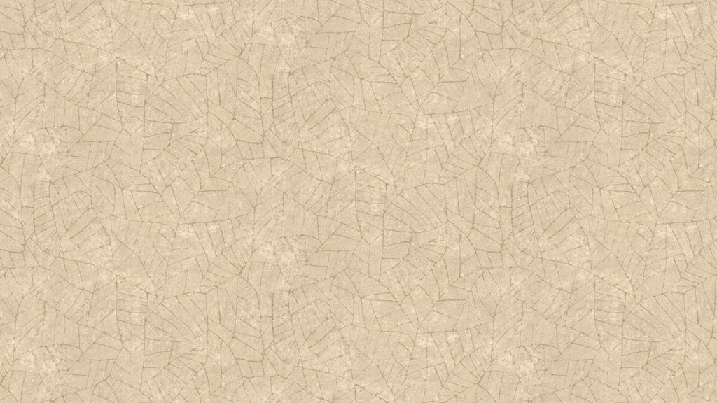 Fragment - beige - Image 6