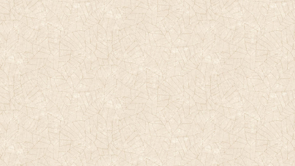Fragment - beige - Image 6