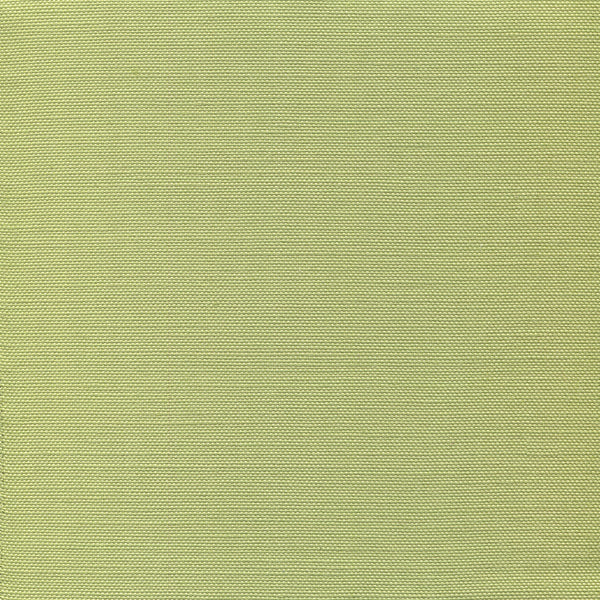 Bahama Cloth II, Medium Celadon | Plains