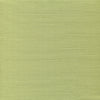 Bahama Cloth II, Medium Celadon