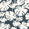 Mighty Monstera After Hours