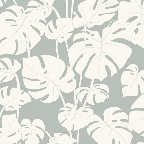 Mighty Monstera Misted | Abnormals Anonymous Wallcovering