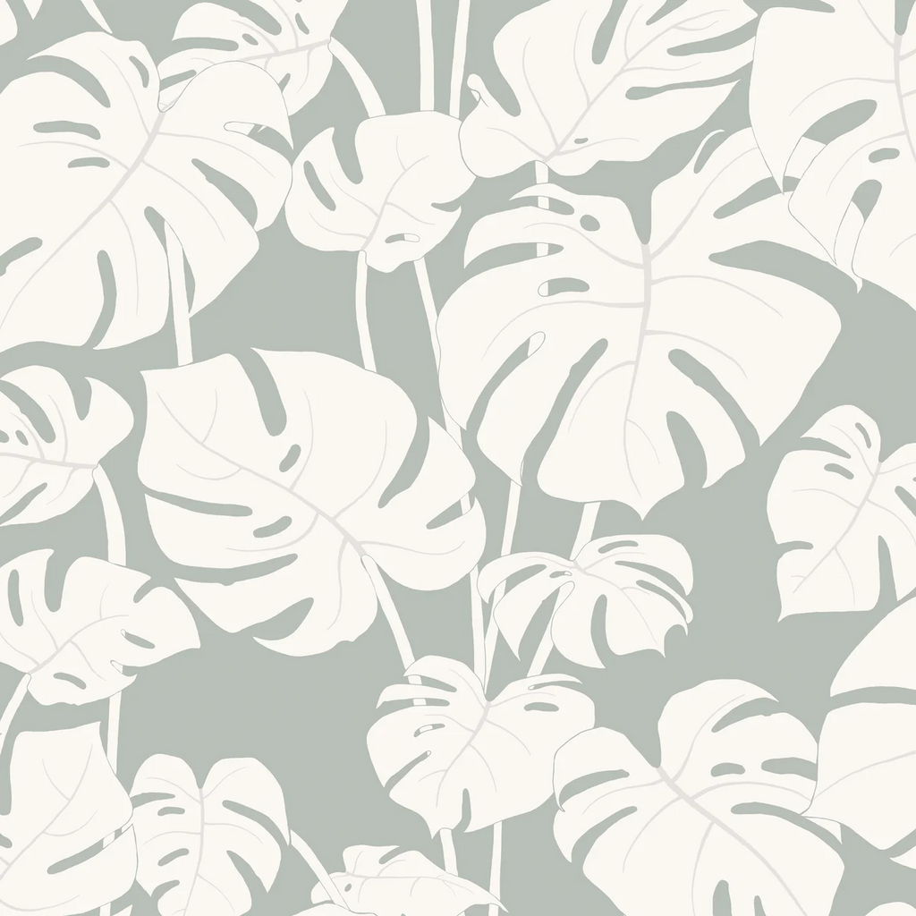 Mighty Monstera Misted