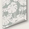 Mighty Monstera Misted